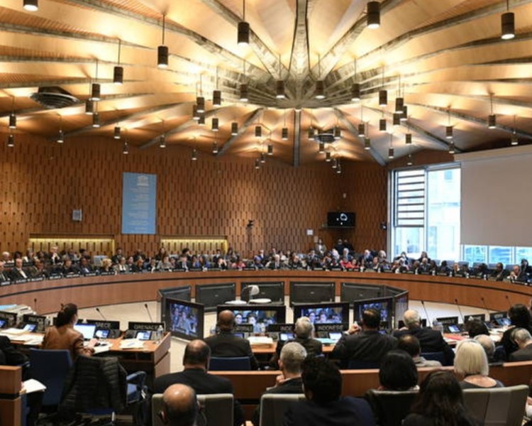 The 204 th session of the UNESCO Executive Board
