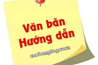 VB huong dan