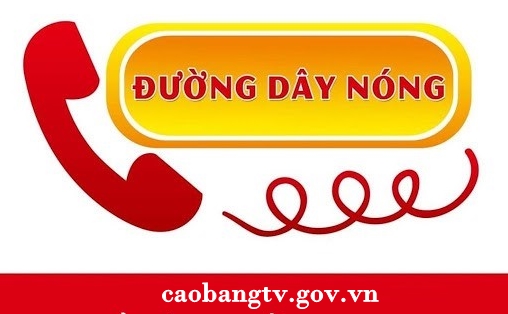 Thành phố công bố số điện thoại đường dây nóng để xử lý thông tin liên quan đến tình hình dịch bệnh COVID-19