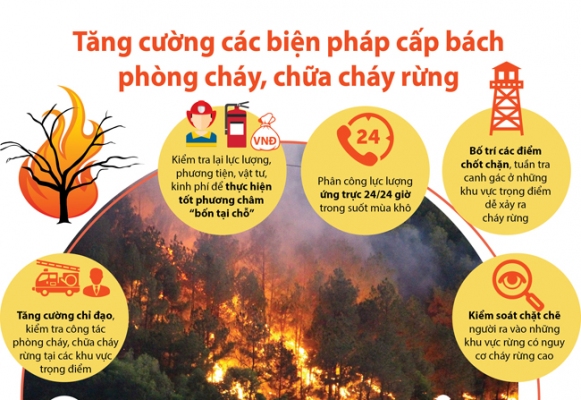 Tăng cường các biện pháp cấp bách phòng cháy, chữa cháy rừng trên địa bàn thành phố