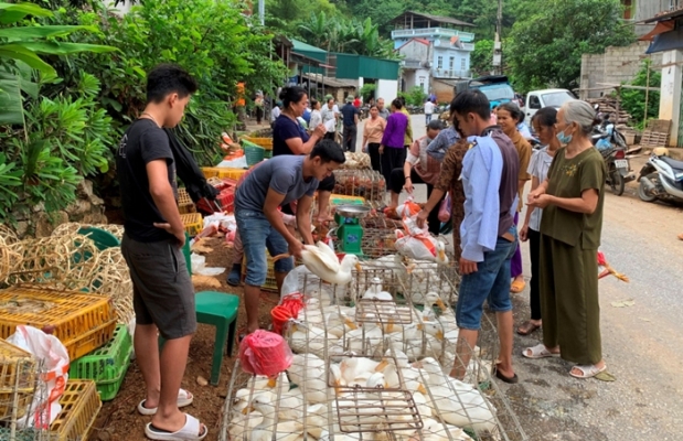 Đón rằm tháng Bảy cùng đồng bào Tày, Nùng Cao Bằng