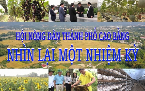 HỘI NÔNG DÂN THÀNH PHỐ CAO BẰNG - NHÌN LẠI MỘT NHIỆM KỲ