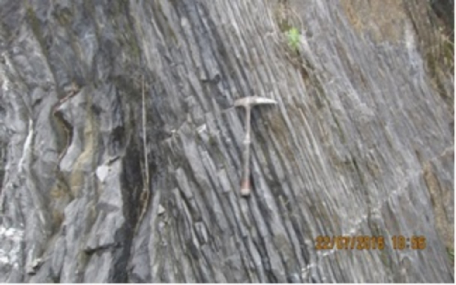Unconformity boundary between upper Cambrian and lower-middle Devonian sedimentary rocks containing bivalve fossils in Luu Ngoc commune