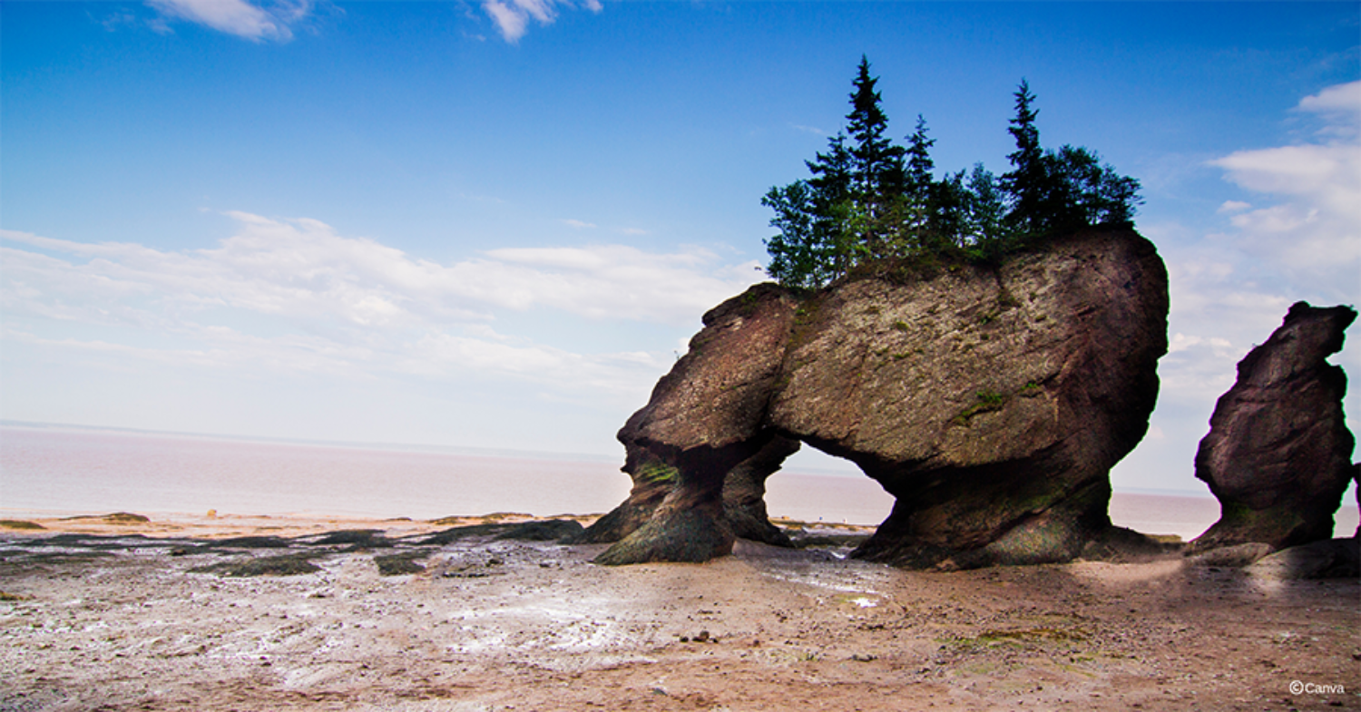 cliffs of fundy