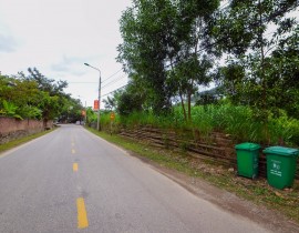 Chu-Trinh-23-1.jpg