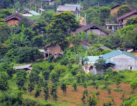 Chu-Trinh-28d-1.jpg