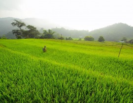 Chu-Trinh-30b-1.jpg