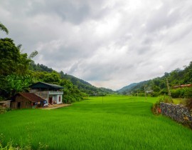 Chu-Trinh-13d-1.jpg